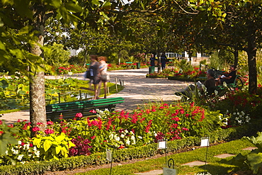 People walking through the Jardins Botanique (Botanical Gardens), Tours, Indre et Loire, Centre, France, Europe