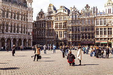 Guildhall facades in the Grand Place (Grote Markt), UNESCO World Heritage Site, Brussels, Belgium, Europe