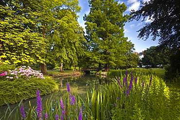 The Jardins des Prebendes d'Oe, Tours, Indre et Loire, Centre, France, Europe