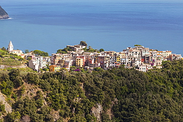 The village of Corniglia in the Cinque Terre, UNESCO World Heritage Site, Liguria, Italy, Europe