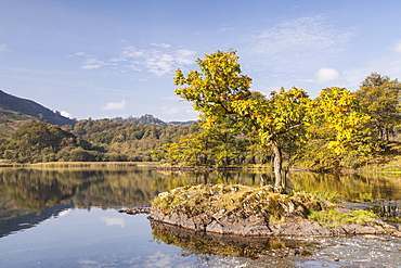 The still water of Rydal Water in the Lake District National Park, Cumbria, England, United Kingdom, Europe