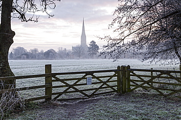 Salisbury Cathedral at dawn in Salisbury, Wiltshire, England, United Kingdom, Europe