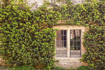 An old house and window is surrounded by the colours of spring in the village of Castle Combe, Wiltshire, England, United Kingdom, Europe