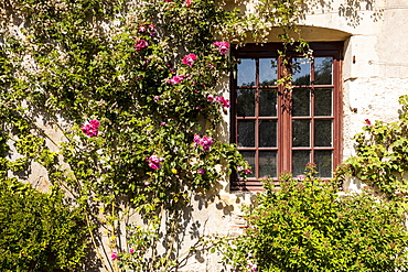 Sitting on the banks of the river Allier, this rose covered house is found in the beautiful village of Apremont-sur-Allier, Cher, Centre, France, Europe