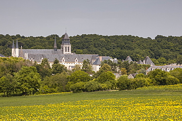 Looking towards the abbey of Fontevraud, Loire Valley, France, Europe