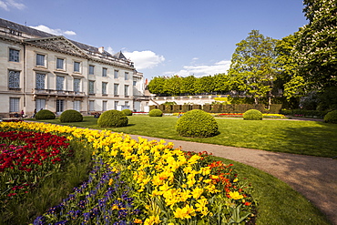 The gardens of the Musee des Beaux Arts (Museum of Fine Arts) in Tours, Indre-et-Loire, France, Europe