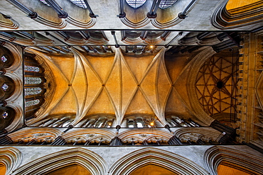 A detail of the ceiling in Salisbury Cathedral, Salisbury, Wiltshire, England, United Kingdom, Europe