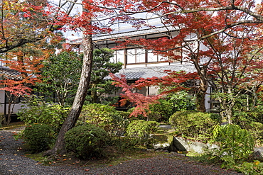 Autumn color in Rozanji Temple in Kyoto, Japan, Asia