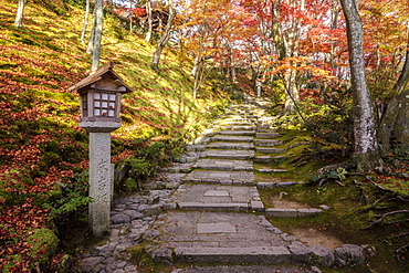 Autumn color in Jojakko-ji Temple in Arashiyama, Kyoto, Japan, Asia