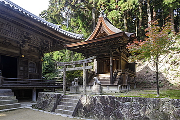 Shoshazan Engyo-ji temple on Mount Shosha, Himeji, Kansai, Japan, Asia