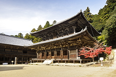 Shoshazan Engyo-ji temple on Mount Shosha, Himeji, Kansai, Japan, Asia