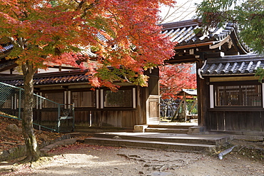 Autumn color around Daikoku-den Hall in Nara, Japan, Asia