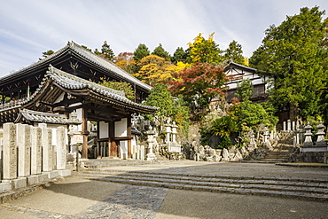 Autumn color around Todaiji Hokkedo in Nara, Japan, Asia