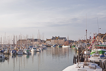 Saint Vaast La Hougue, Cotentin Peninsula, Normandy, France, Europe