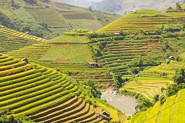 Rice terraces in Mu Cang Chai, Vietnam, Indochina, Southeast Asia, Asia