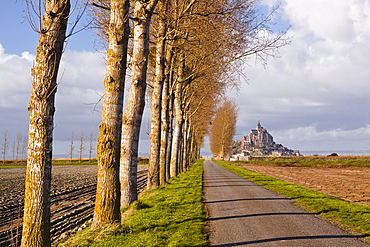 A tree lined avenue leads towards Mont Saint Michel, UNESCO World Heritage Site, Normandy, France, Europe