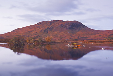 Lochan na h-Achlaise reflecting the surrounding mountains on Rannoch Moor, a Site of Special Scientific Interest, Scotland, United Kingdom, Europe