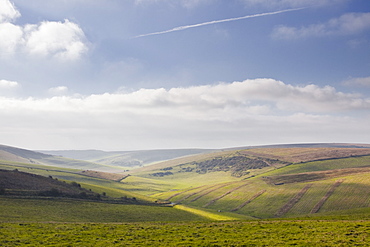 Stump Bottom and the rolling hills of the South Downs National Park near to Brighton, Sussex, England, United Kingdom, Europe