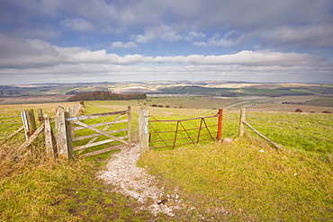 The rolling hills of the South Downs National Park near Brighton, Sussex, England, United Kingdom, Europe