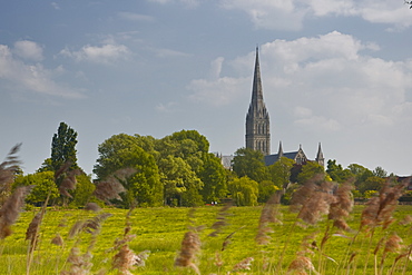 Salisbury Cathedral, Salisbury, Wiltshire, England, United Kingdom, Europe