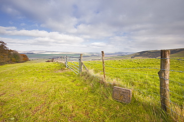 The rolling hills of the South Downs National Park near Brighton, Sussex, England, United Kingdom, Europe