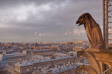 A gargoyle on Notre Dame de Paris cathedral looks over the city, Paris, France, Europe