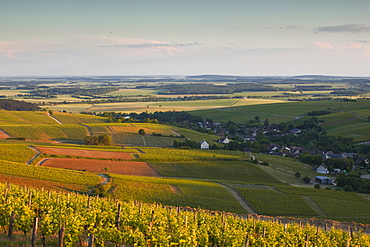 Bue, Sancerre, Cher, Loire Valley, Centre, France, Europe