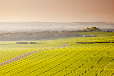 The Vale of Pewsey at first light, Wiltshire, England, United Kingdom, Europe