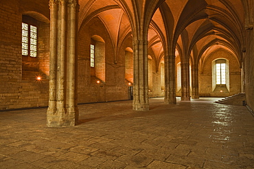 The Salle de la Grande Audience or Big Audience room inside the Palais des Papes, UNESCO World Heritage Site, Avignon, Vaucluse, France, Europe 