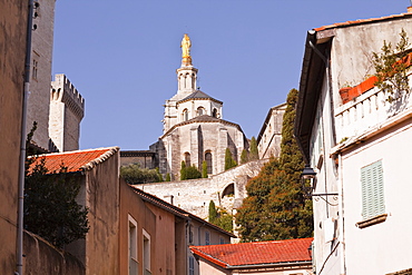 Notre-Dame des Doms d'Avignon cathedral from the small streets of the city, Avignon, Vaucluse, France, Europe 