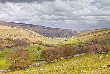 Looking down onto Littondale in the Yorkshire Dales National Park, Yorkshire, England, United Kingdom, Europe 