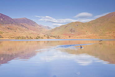 The still waters of Crummock Water in the Lake District National Park, Cumbria, England, United Kingdom, Europe