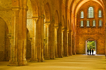 The nave of Fontenay Abbey, UNESCO World Heritage Site, Cote d'Or, Burgundy, France, Europe 