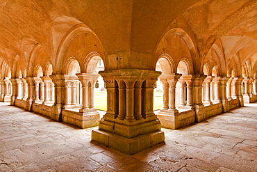 The cloisters of Fontenay Abbey, UNESCO World Heritage Site, Cote d'Or, Burgundy, France, Europe