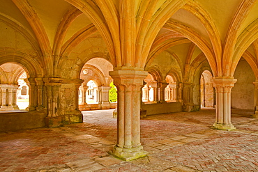 The chapter house of Fontenay Abbey, UNESCO World Heritage Site, Cote d'Or, Burgundy, France, Europe
