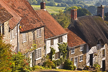 The famous cobbled street of Gold Hill in Shaftesbury, Dorset, England, United Kingdom, Europe