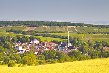 The village of Ricey Bas in the Cote des Bar area, Champagne, France, Europe 