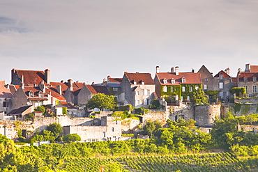 Le Clos Vineyard below the hilltop village of Vezelay in Burgundy, France, Europe 