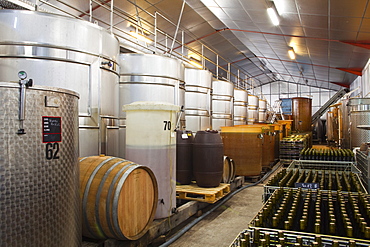 Wine vats and bottles at Gitton Pere et Fils in Sancerre, Cher, Centre, France, Europe