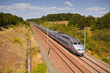 A TGV train speeds through the French countryside near to Tours, Indre-et-Loire, Centre, France, Europe