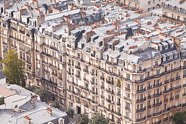 The rooftops of Paris from the Eiffel Tower.