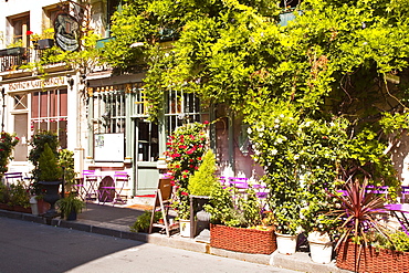 A cafe in the backstreets of Ile de la Cite, Paris, France, Europe