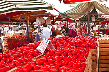 Tomatoes on sale at the open air market of Piazza della Repubblica, Turin, Piedmont, Italy, Europe