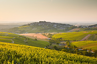 Dawn light starts to fill the skies above the village and vineyards of Sanerre, Cher, Loire Valley, Centre, France, Europe