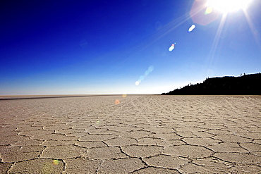 Isla de los Pescadores and salt flats, Salar de Uyuni, Southwest Highlands, Bolivia, South America