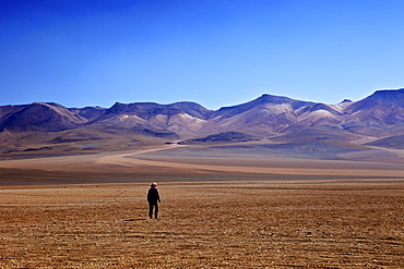 Desert in the Avaroa Andean Fauna National Reserve, Bolivia, South America