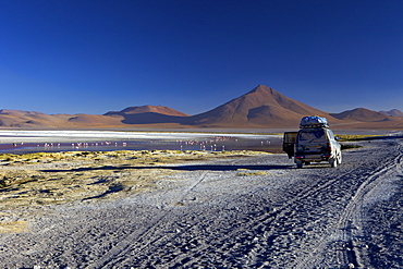 Laguna Colorada (Red Lagoon), a shallow salt lake in the southwest of the altiplano, within Eduardo Avaroa Andean Fauna National Reserve, Bolivia, South America