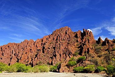 Canon Del Inca, Tupiza Chichas Range, Andes, Southwestern Bolivia, South America