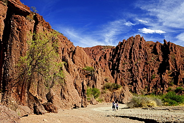 Canon Del Inca, Tupiza Chichas Range, Andes, Southwestern Bolivia, South America