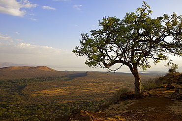 Nechisar National Park, Arba Minch (Arba Migie), Rift Valley region, Ethiopia, Africa